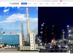 山东永鑫能源集团