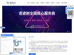 石家庄蓝龙互联网服务有限公司-做网站的公司、ISO体系认证、做抖音推广多少钱