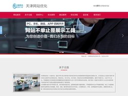 【天津网站优化-天津网站优化公司】天津北极网站优化公司-先排名后付费