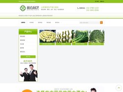 开封菊花_菊花造型_菊花种苗_开封前方园艺菊花种植基地