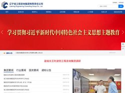项目咨询评审_项目招标代理_辽宁省工程咨询集团有限责任公司