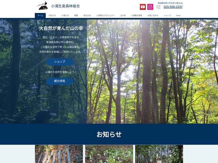 ナメコ・山菜販売 | 小滝生産森林組合 | 世界ジオパーク | 新潟県糸魚川市
