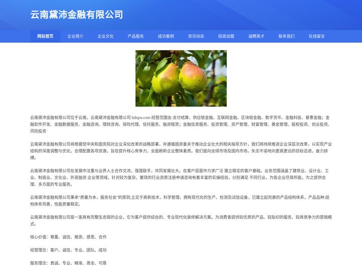 云南黛沛金融有限公司 - 首页