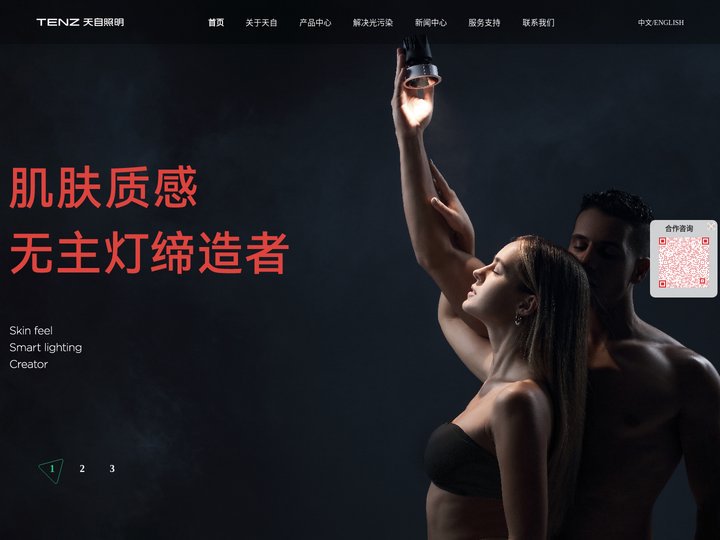 TENZ天自照明 | 肌肤质感无主灯缔造者