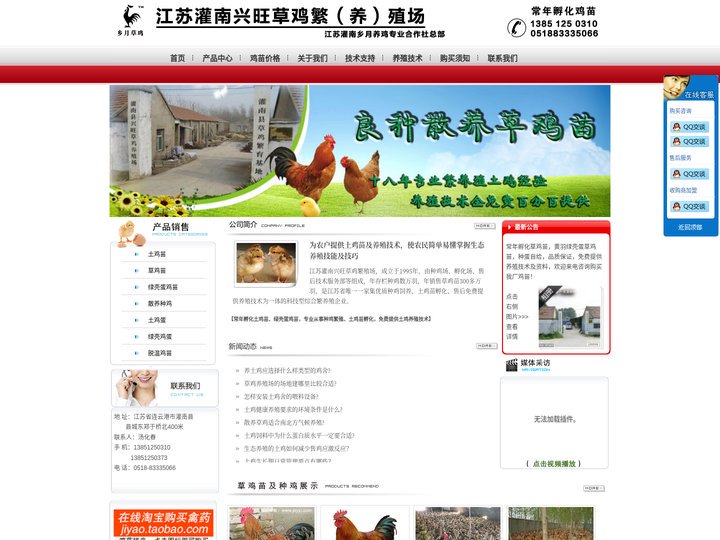 江苏乡月专业草鸡苗孵化厂