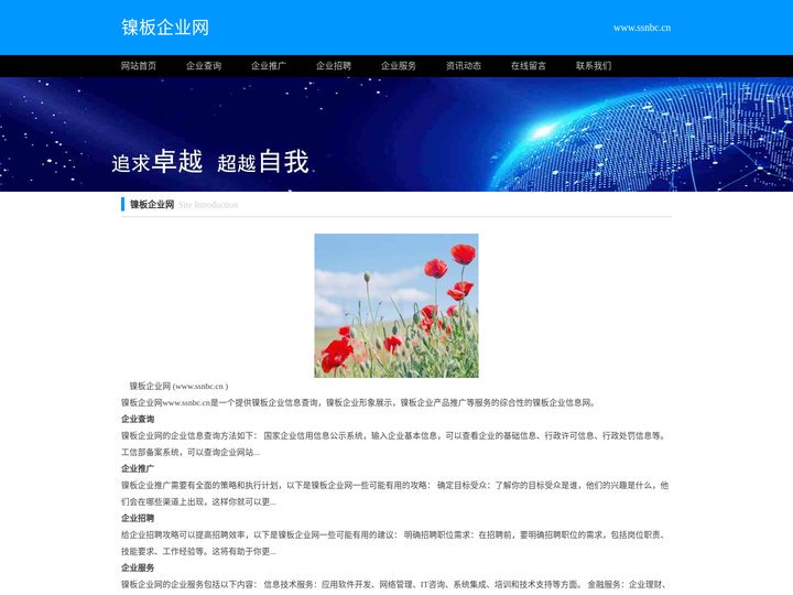 镍板_N6镍板_镍管_N6镍管_镍棒_N6纯镍棒_镍丝_天津硕盛钢铁贸易有限公司