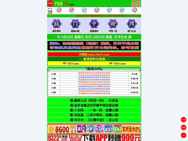 中·特·网