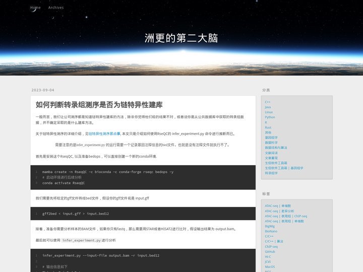 洲更的第二大脑