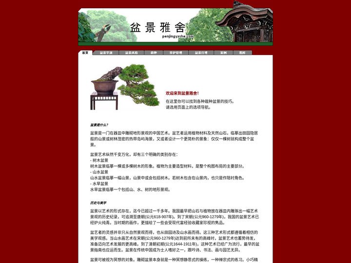 盆景雅舍- 关于盆景种植、艺术加工、盆景护理
