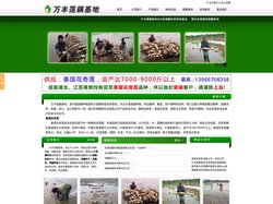 莲藕种子_莲藕的种植方法_藕种_莲藕苗_浅水莲藕种植技术 - 安徽万丰莲藕种苗基地