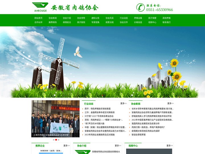 安徽省肉鸽业协会网站