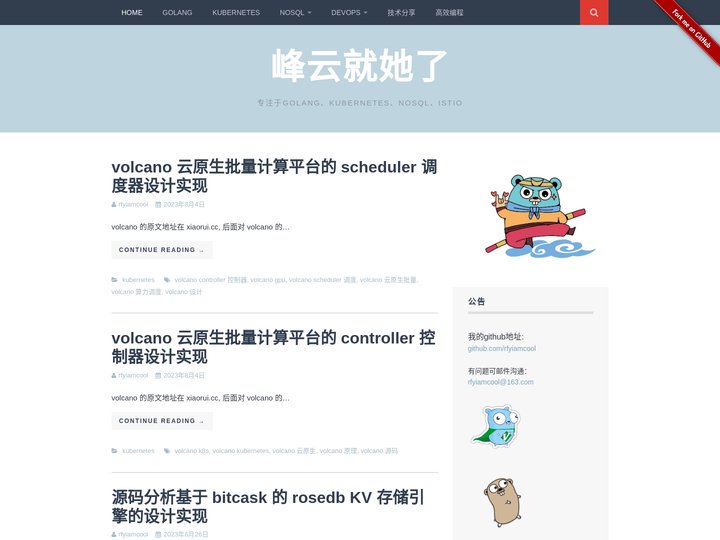 峰云就她了 - 专注于Golang、Kubernetes、Nosql、Istio