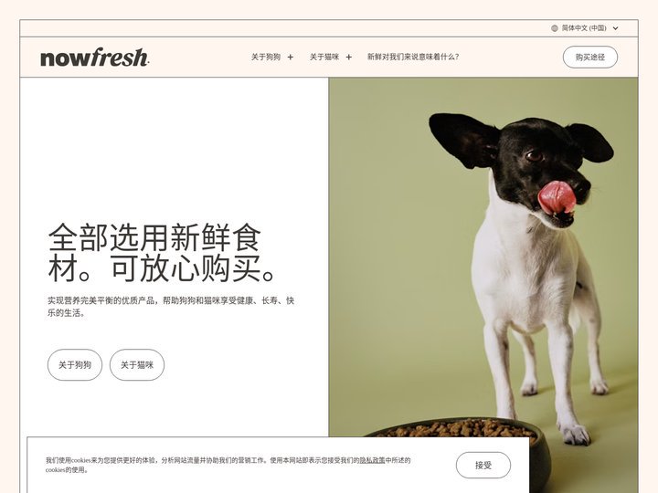 Now Fresh | 适合各种体型和年龄的优质宠物食品