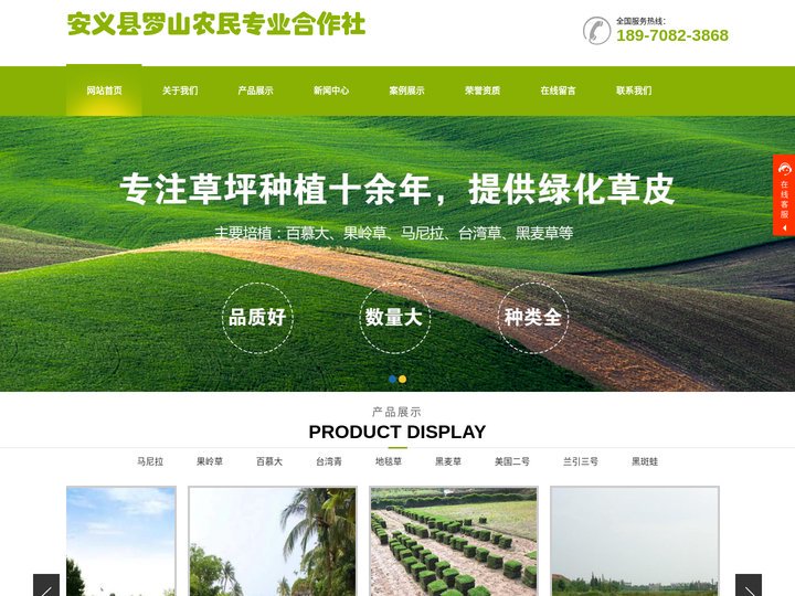 江西草皮-南昌草皮-江西草坪-南昌草坪-安义县罗山农民专业合作社