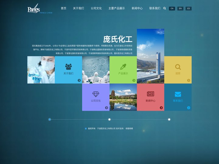 庞氏化工集团