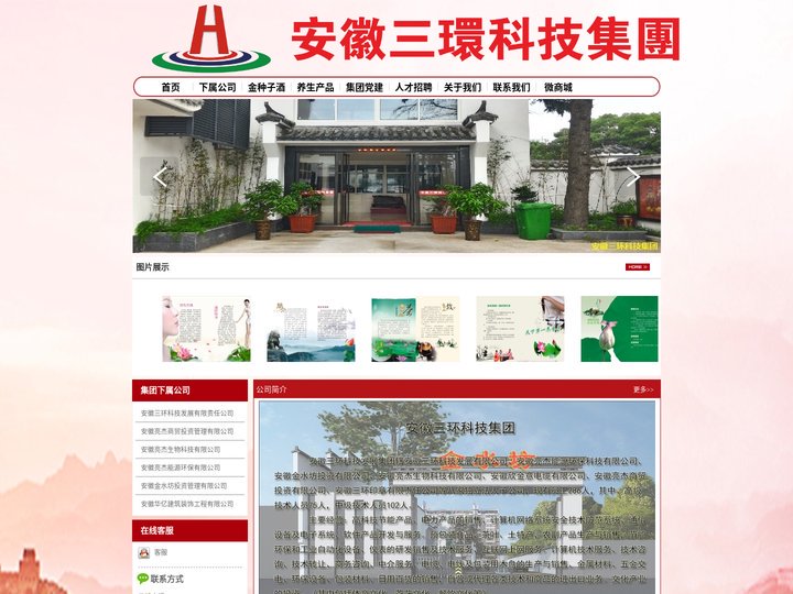 安徽三环科技集团
