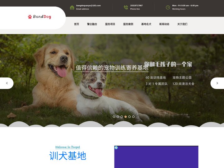 西安宠物训练_宠物寄养_狗狗训练学校_西安邦德训犬基地