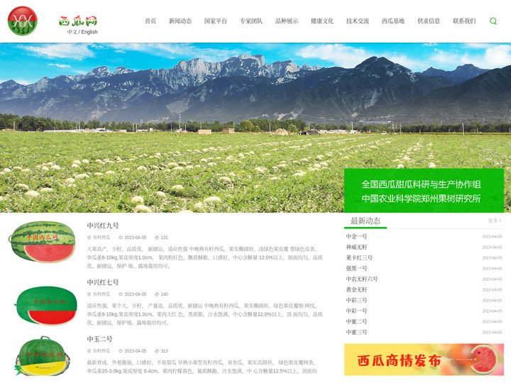 西瓜-甜瓜- 无籽西瓜-西瓜网-郑州果树研究所推动西瓜、甜瓜科研生产