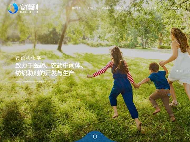 江苏安德利生物科技有限公司--氨基钠|叔戊醇钠|叔丁醇钠|叔丁醇钾
