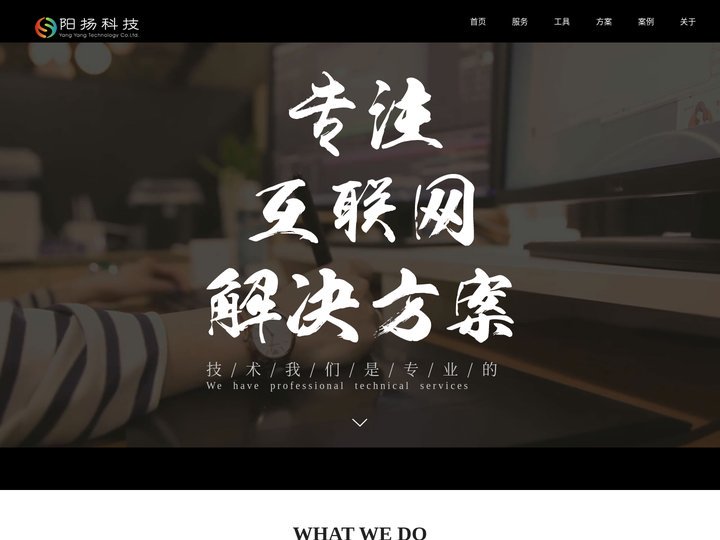 阳扬科技