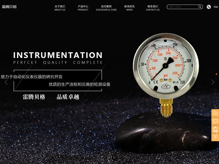 进口压力传感器_进口压开关_进口压力表_苏州雷腾贝格
