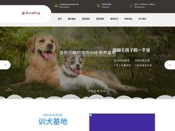 西安宠物训练_宠物寄养_狗狗训练学校_西安邦德训犬基地
