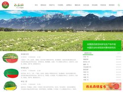 西瓜-甜瓜- 无籽西瓜-西瓜网-郑州果树研究所推动西瓜、甜瓜科研生产