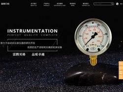 进口压力传感器_进口压开关_进口压力表_苏州雷腾贝格
