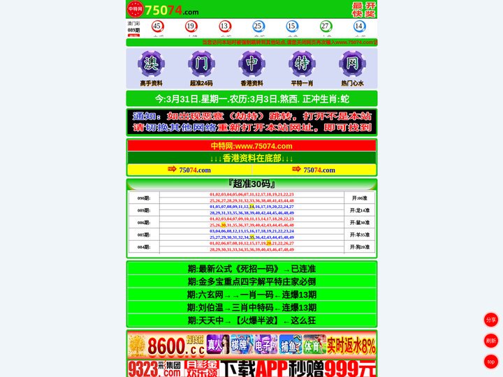 中·特·网