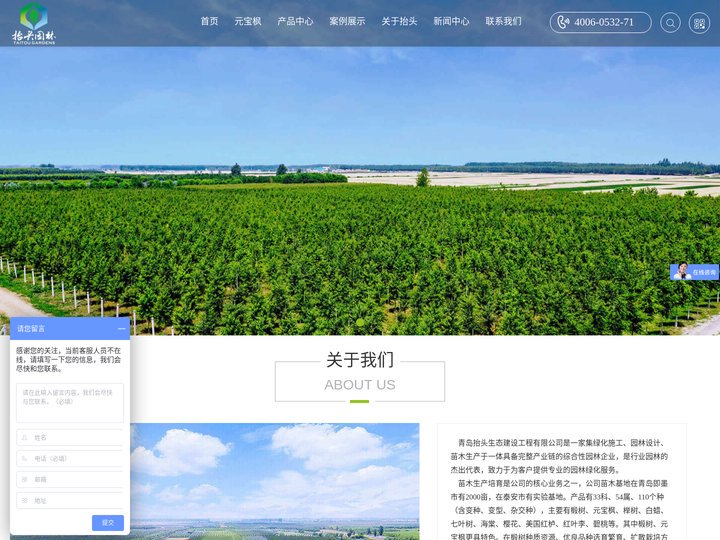 椴树_原冠榉树_丛生元宝枫_北美海棠_绚丽海棠苗木基地-青岛抬头生态建设工程有限公司