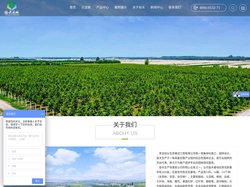 椴树_原冠榉树_丛生元宝枫_北美海棠_绚丽海棠苗木基地-青岛抬头生态建设工程有限公司