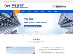 平邑衡器厂--临沂衡器--电子汽车衡 -- 十佳知名品牌企业