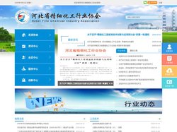 河北省精细化工协会官网