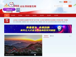 山东创业服务网-首页