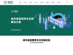 重庆星网施克赛斯自动化有限公司