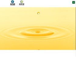 山西新鸿顺能源有限公司