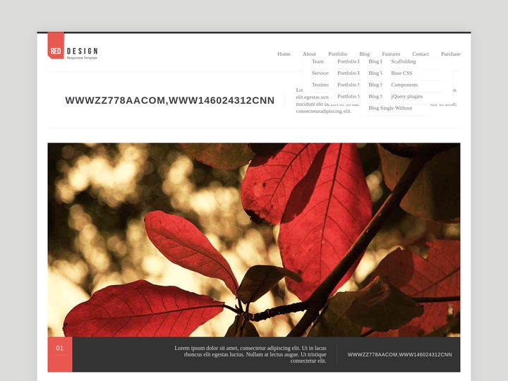﻿WWWZZ778AACOM,WWW146024312CNN,成人首頁
