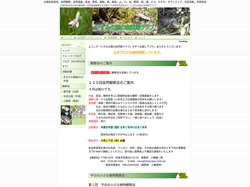 いずみの国の自然館クラブ