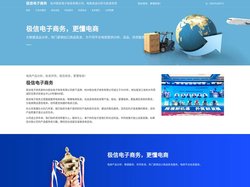 极信电子商务，更懂电商!
