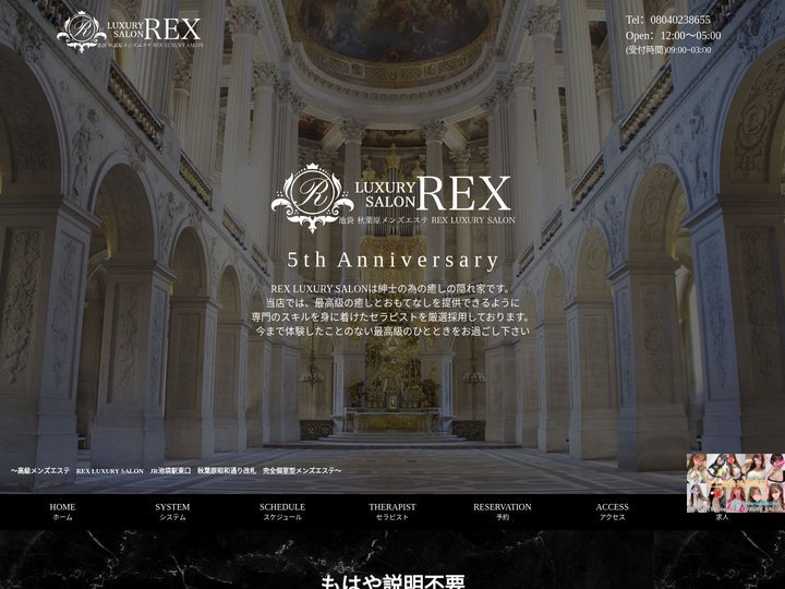 REX LUXURY SALON 池袋 秋葉原 高級メンズエステ | Home - ホーム