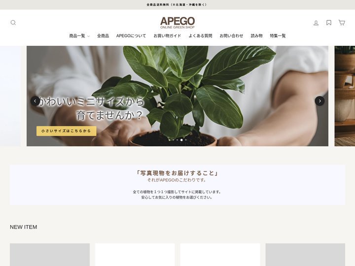 【送料無料】観葉植物の1点もの通販 | APEGO(アペーゴ)