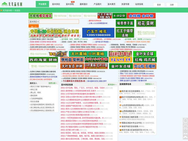 天天苗木网_苗木求购信息_中国苗木信息服务网