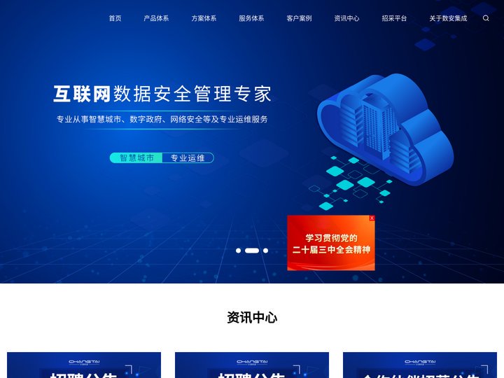安徽数安系统集成有限公司