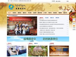 藏医藏药网