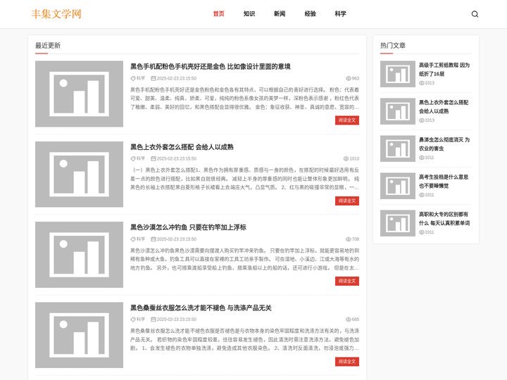 丰集文学网
