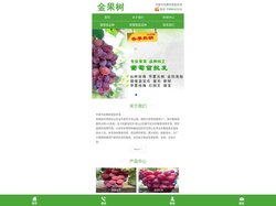 山东葡萄苗基地_新品种葡萄苗-平度市金果树家庭农场