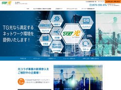 TG光 法人様向け光アクセスサービス｜T-GAIA 光コラボレーションモデル