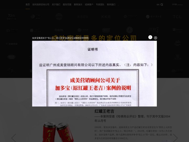 品牌战略咨询_战略定位咨询_品牌定位_企业品牌定位案例
