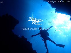 奄美大島ダイビングショップネイティブシー奄美【公式】
