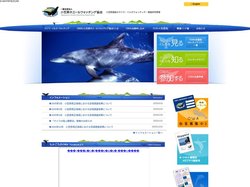 小笠原ホエールウォッチング協会 -